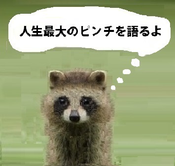f:id:campingcarboy:20201222121952j:plain
