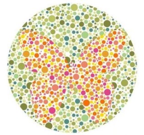 f:id:campingcarboy:20210126074603j:plain