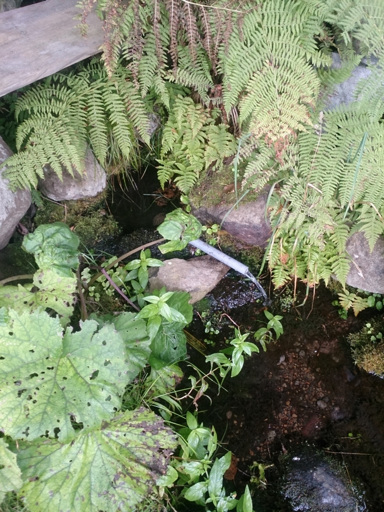 f:id:cample-hq:20160920130649j:plain