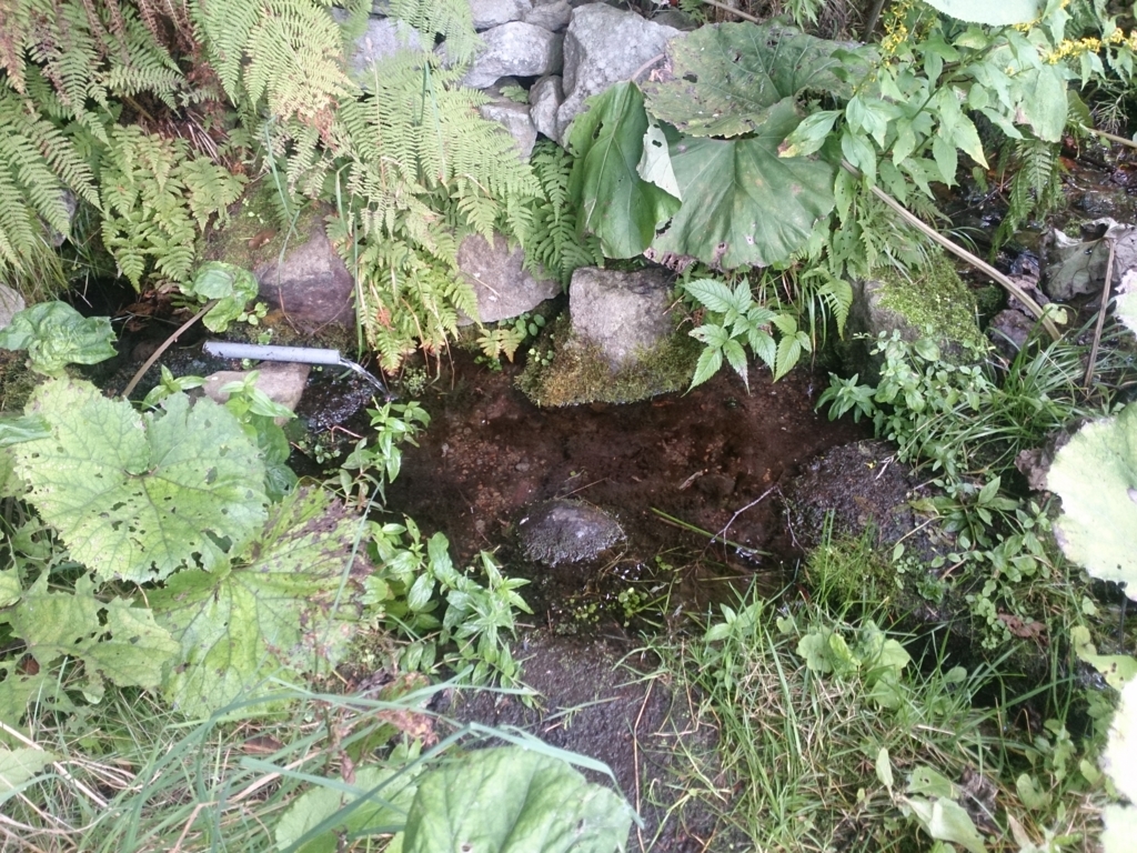 f:id:cample-hq:20160920130725j:plain