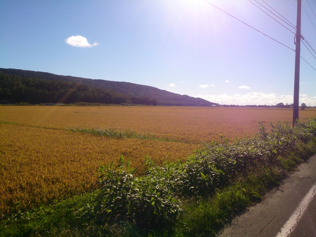 f:id:cample-hq:20160920140723j:plain