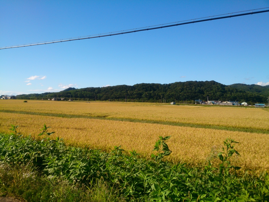 f:id:cample-hq:20160920140811j:plain