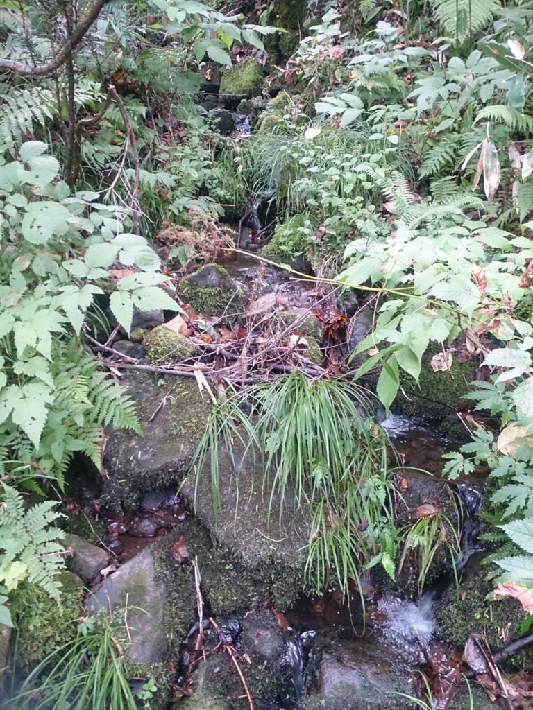 f:id:cample-hq:20160920144059j:plain