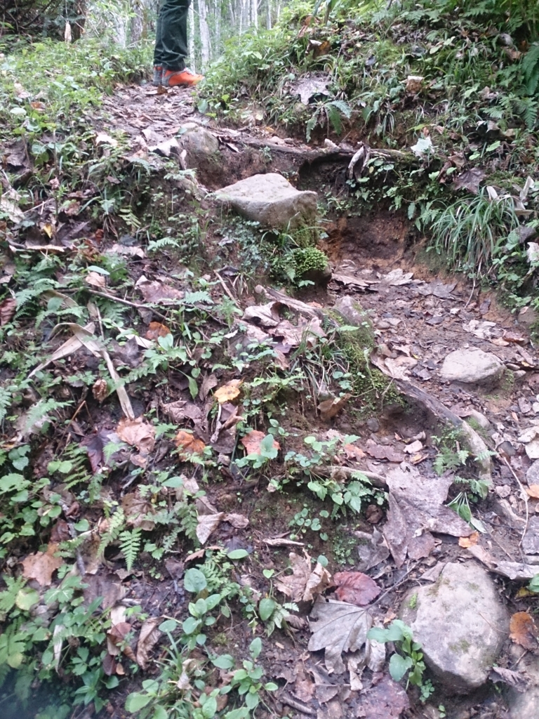 f:id:cample-hq:20160920145625j:plain