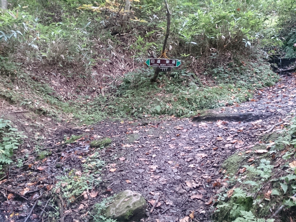 f:id:cample-hq:20160920145834j:plain