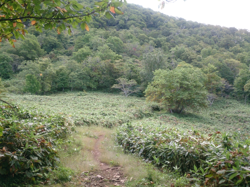 f:id:cample-hq:20160920153717j:plain