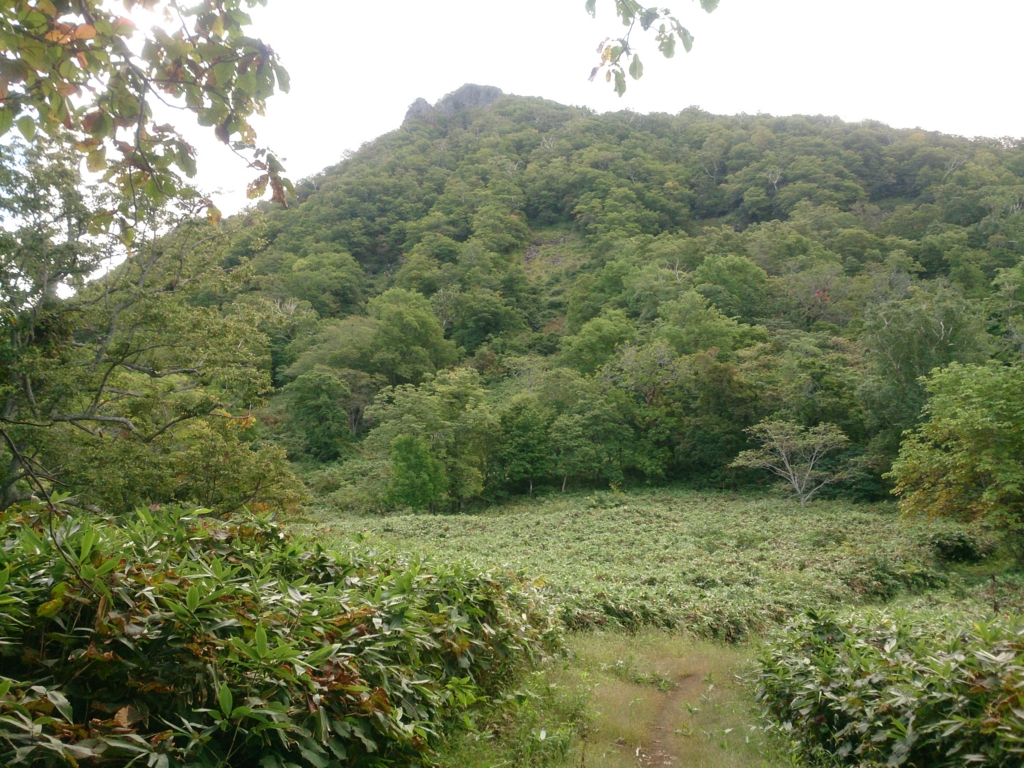 f:id:cample-hq:20160920153903j:plain