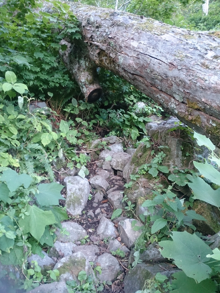 f:id:cample-hq:20160920154040j:plain