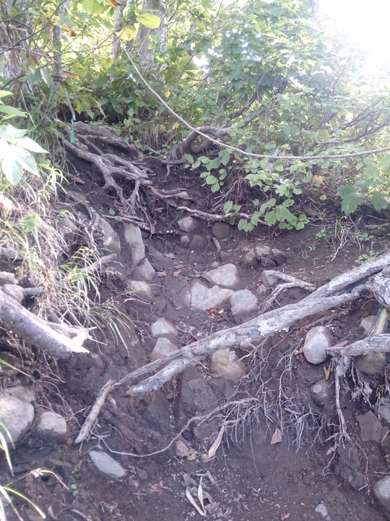 f:id:cample-hq:20160920154517j:plain