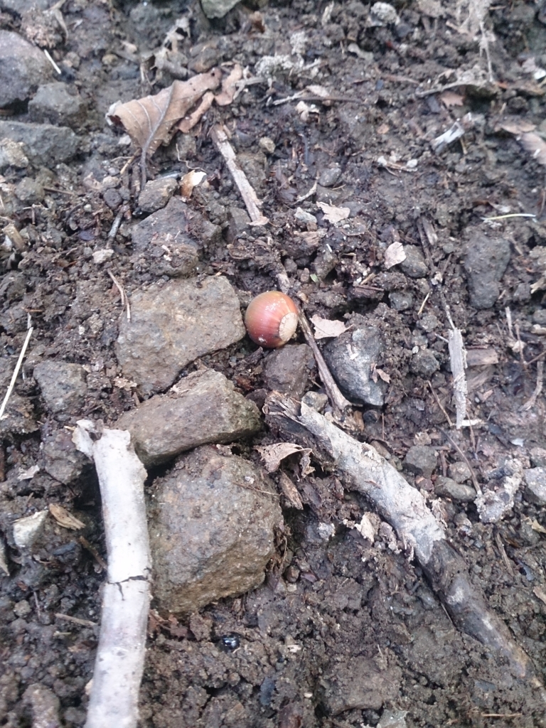 f:id:cample-hq:20160920154841j:plain