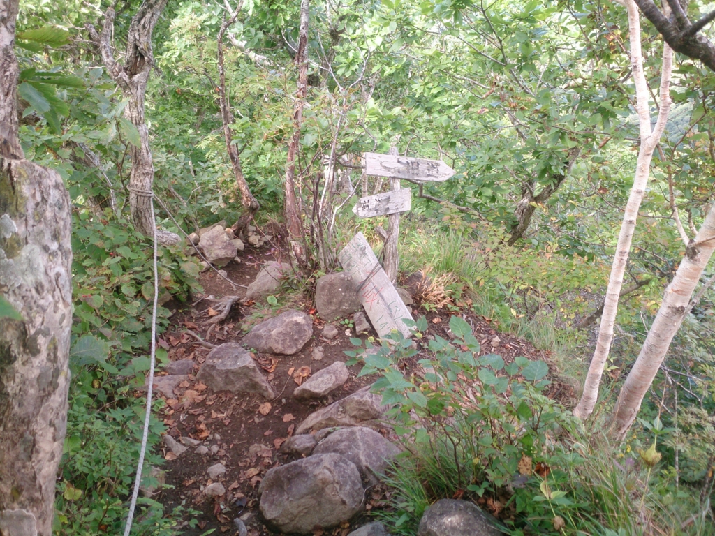 f:id:cample-hq:20160920155131j:plain