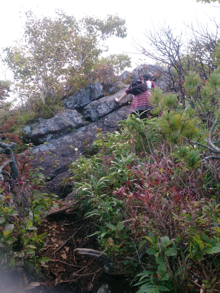 f:id:cample-hq:20160920155516j:plain