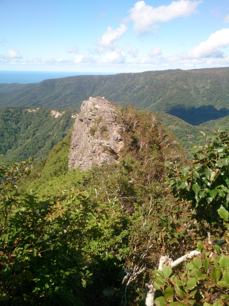 f:id:cample-hq:20160920160459j:plain