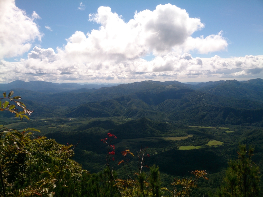 f:id:cample-hq:20160920165220j:plain