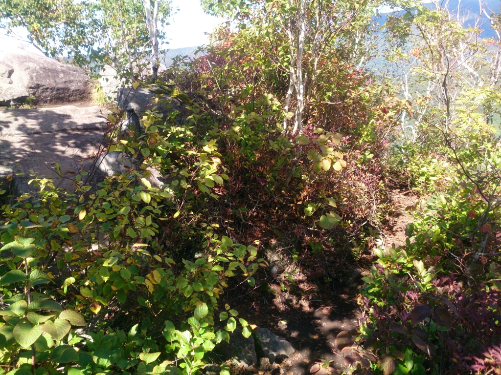 f:id:cample-hq:20160920170103j:plain