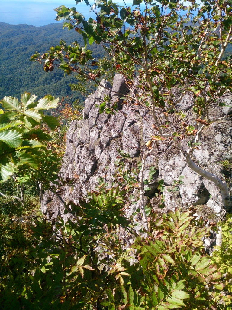 f:id:cample-hq:20160920171328j:plain