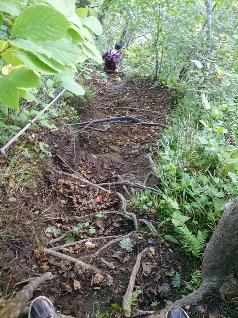 f:id:cample-hq:20160920172427j:plain