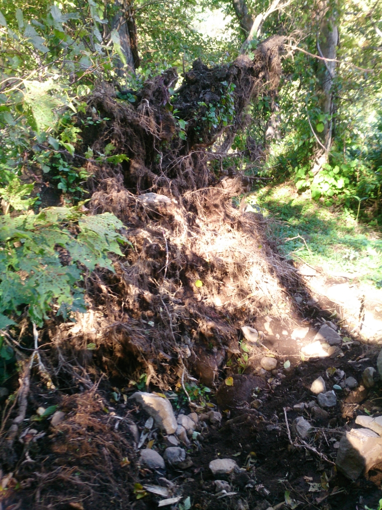 f:id:cample-hq:20160920172859j:plain