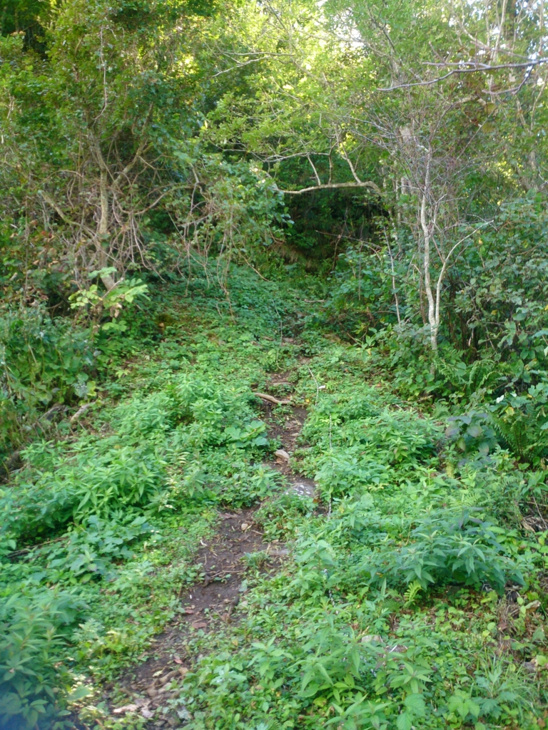 f:id:cample-hq:20160920173202j:plain