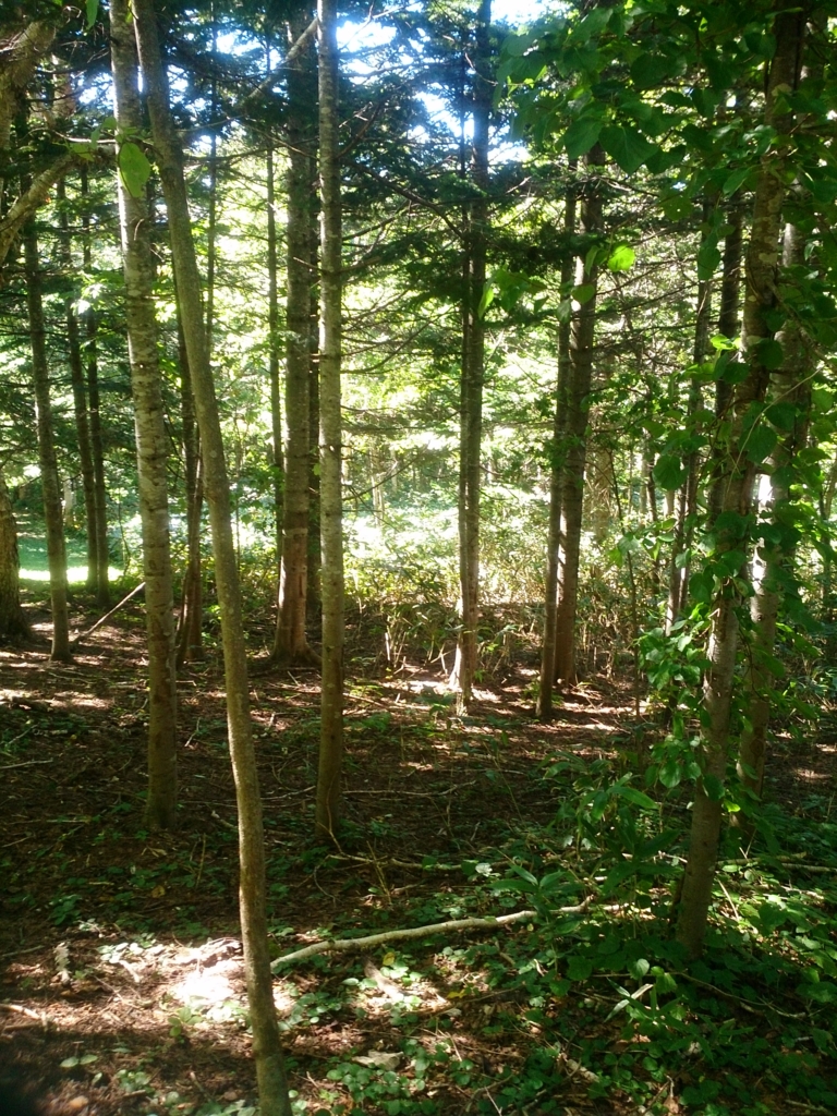 f:id:cample-hq:20160920173447j:plain