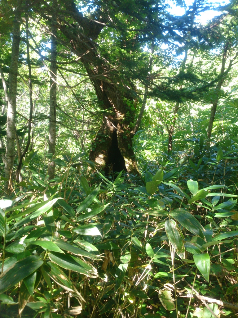 f:id:cample-hq:20160920173615j:plain