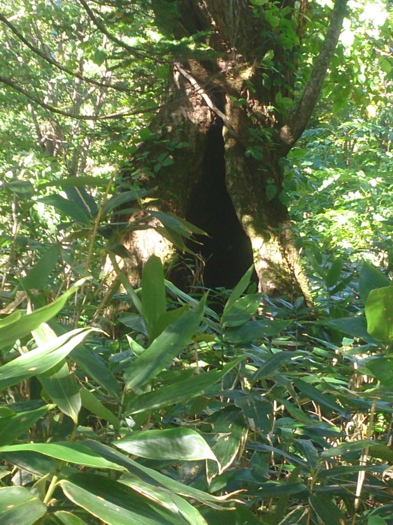 f:id:cample-hq:20160920173822j:plain