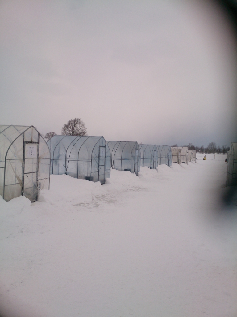 f:id:cample-hq:20170215201015j:plain f:id:cample-hq:20170215201015j:plain