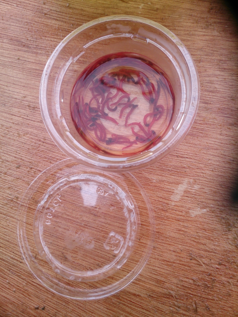 f:id:cample-hq:20170215201922j:plain f:id:cample-hq:20170215201922j:plain