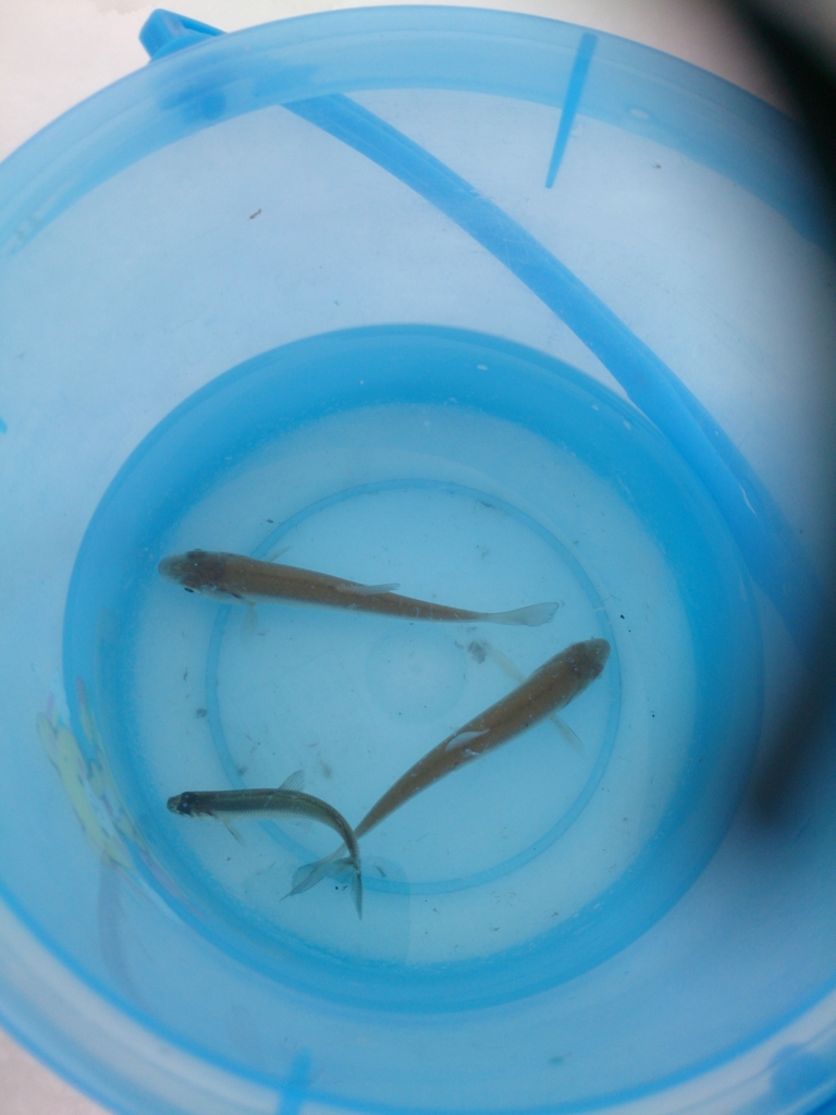 f:id:cample-hq:20170215202633j:plain f:id:cample-hq:20170215202633j:plain