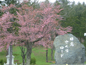 f:id:cample-hq:20170405193525j:plain f:id:cample-hq:20170405193525j:plain