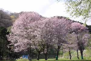 f:id:cample-hq:20170405193920j:plain f:id:cample-hq:20170405193920j:plain