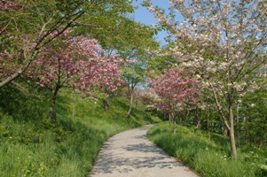 f:id:cample-hq:20170405195129j:plain f:id:cample-hq:20170405195129j:plain