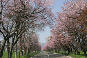 f:id:cample-hq:20170405195456j:plain f:id:cample-hq:20170405195456j:plain