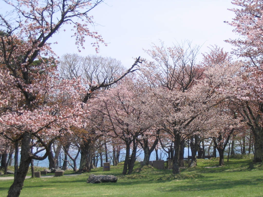 f:id:cample-hq:20170405201131j:plain f:id:cample-hq:20170405201131j:plain