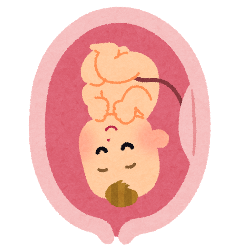 f:id:cample-hq:20171118192705p:plain