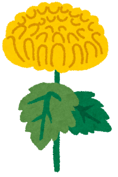 f:id:cample-hq:20190905194217p:plain