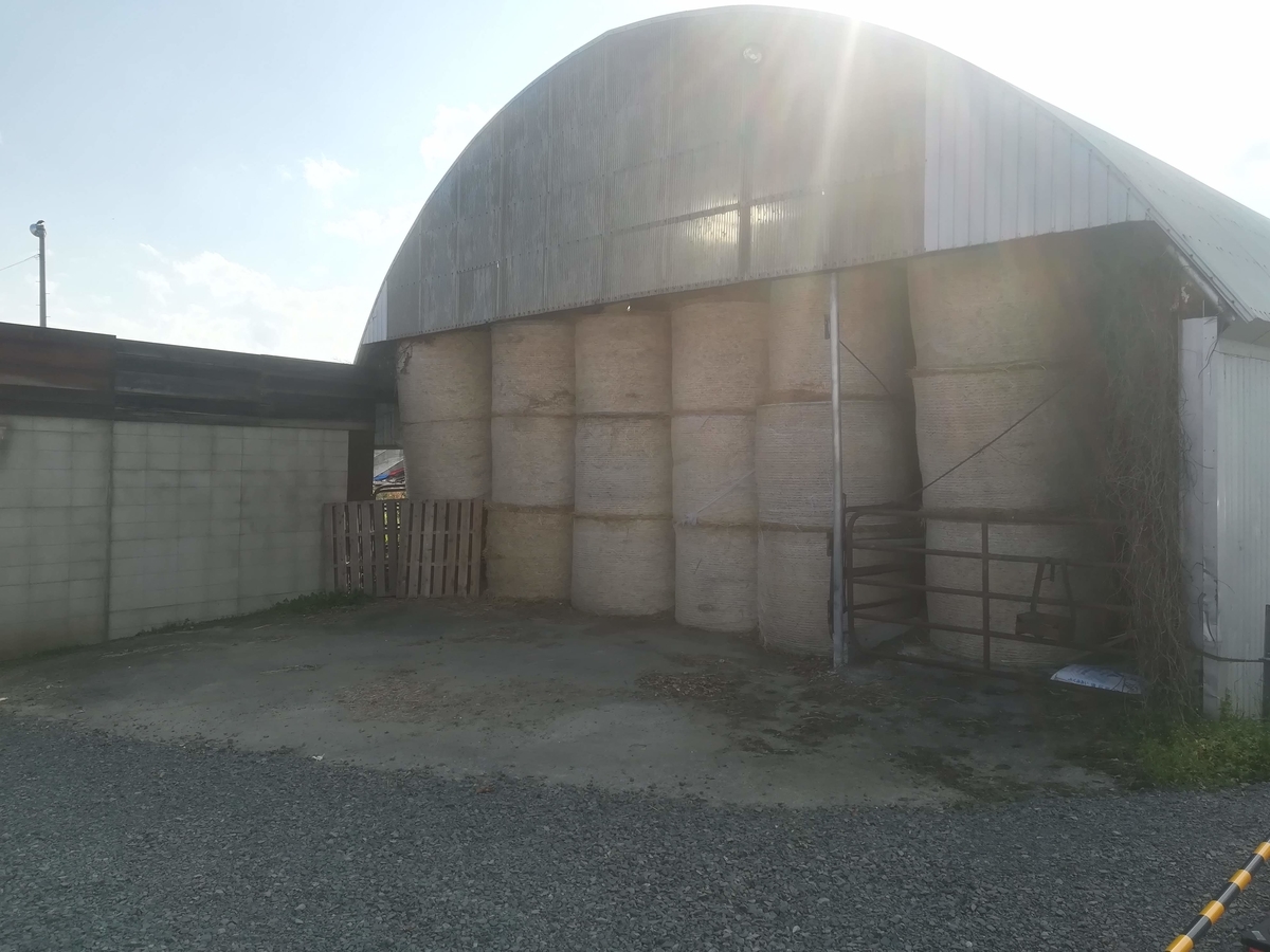 f:id:cample-hq:20190930213228j:plain