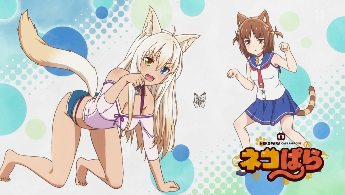 f:id:cample-hq:20200308204337j:plain