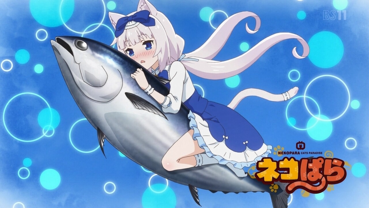 f:id:cample-hq:20200308204440j:plain