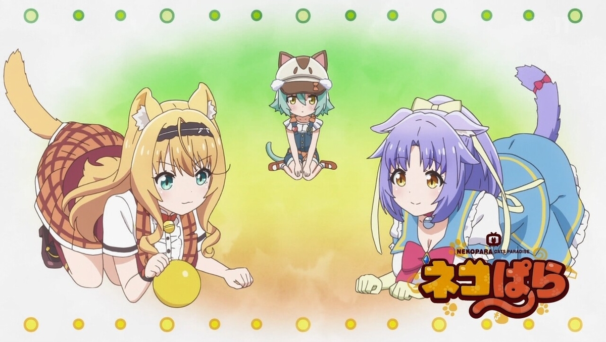 f:id:cample-hq:20200308204545j:plain