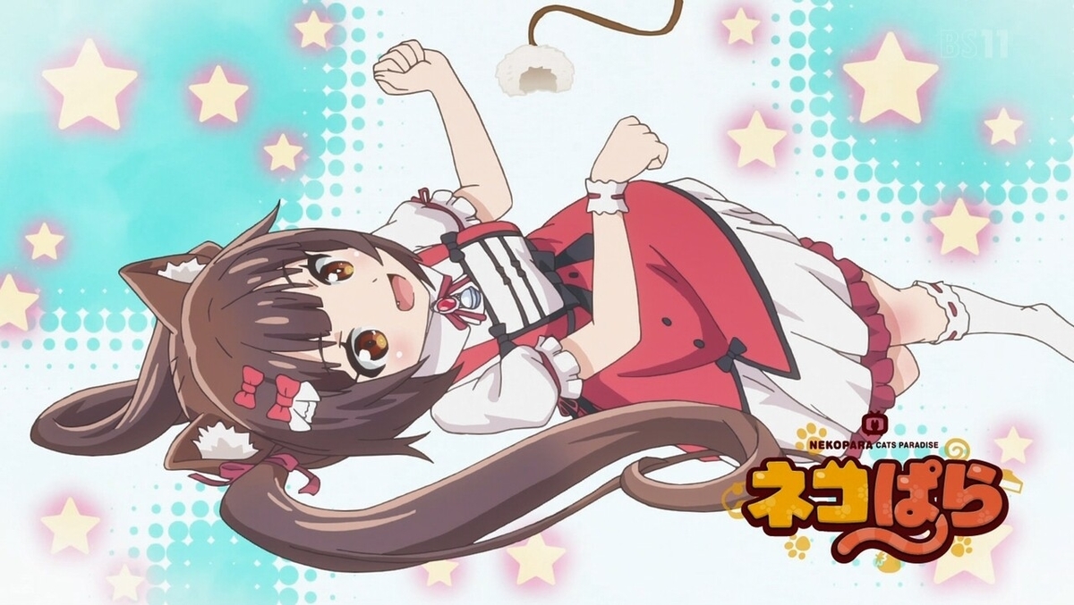 f:id:cample-hq:20200308204845j:plain