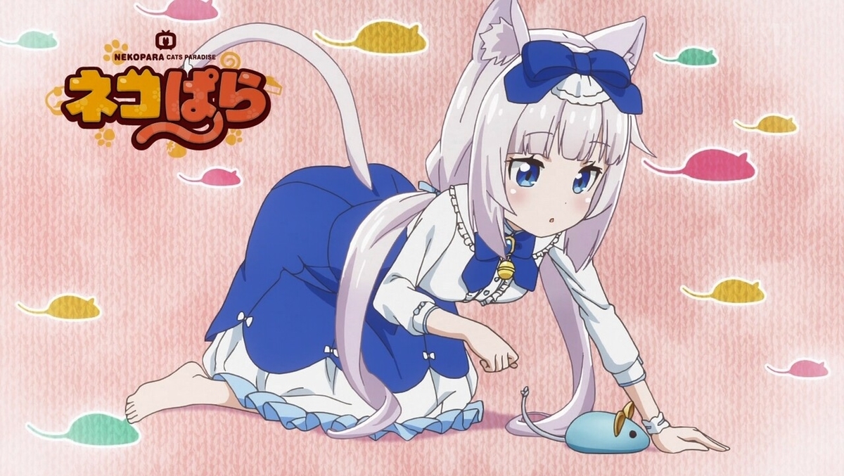 f:id:cample-hq:20200308204853j:plain