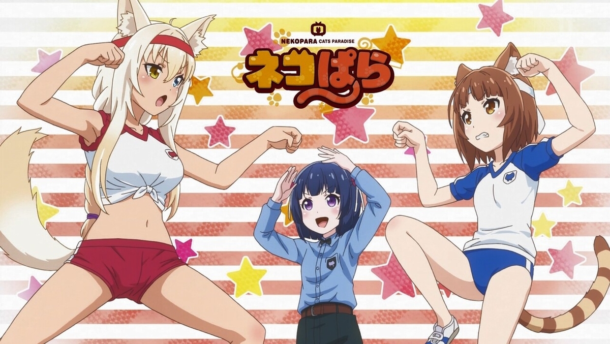 f:id:cample-hq:20200308204926j:plain