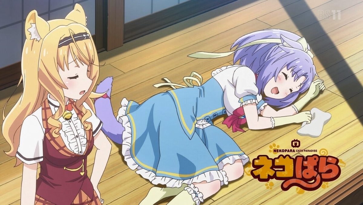 f:id:cample-hq:20200308205020j:plain