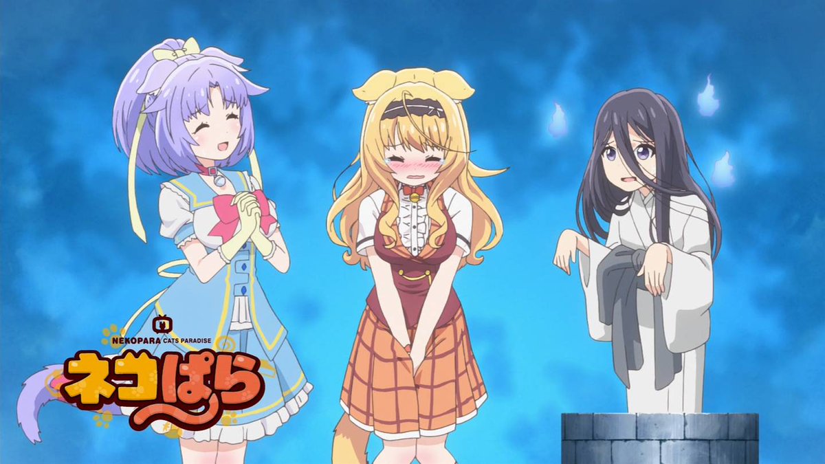 f:id:cample-hq:20200308205059j:plain