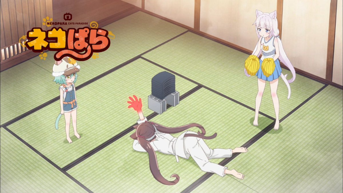 f:id:cample-hq:20200316001839j:plain