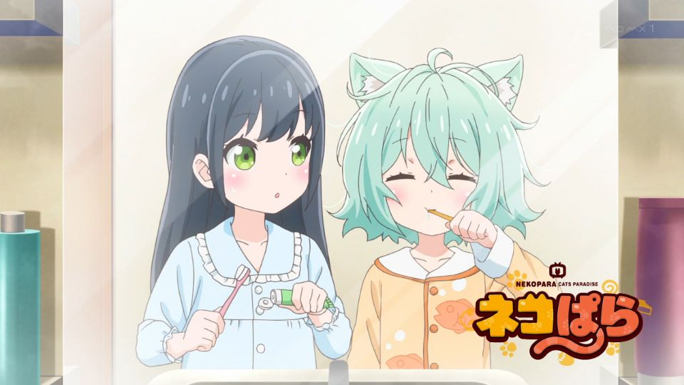 f:id:cample-hq:20200322222649j:plain