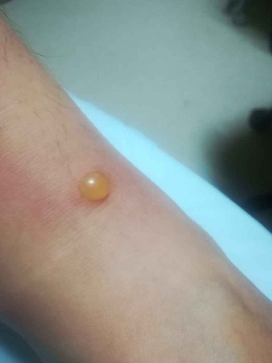 f:id:cample-hq:20200731213847j:plain