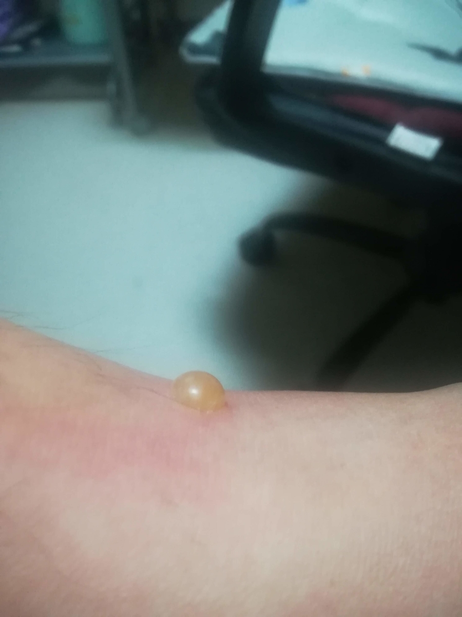 f:id:cample-hq:20200731213904j:plain