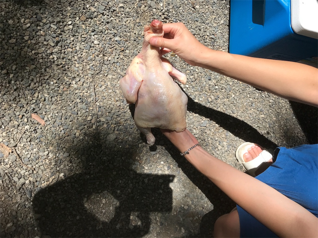 f:id:campmedaka:20180901160933j:image f:id:campmedaka:20180901160933j:image